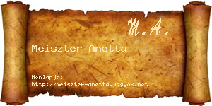 Meiszter Anetta névjegykártya